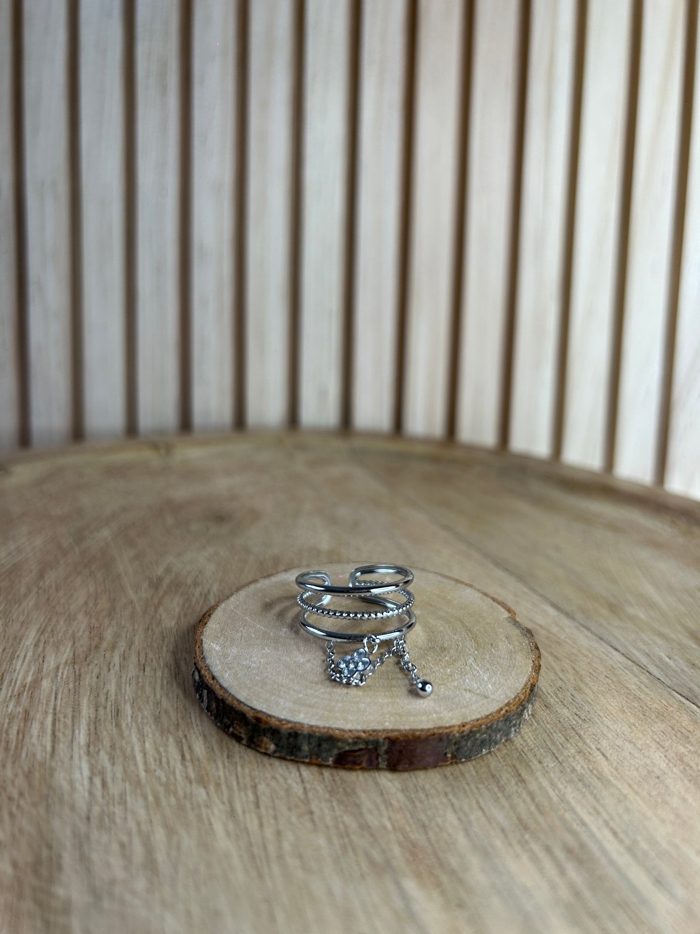 Bague Acier inoxydable & Chaîne Argentée